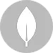 MongoDB